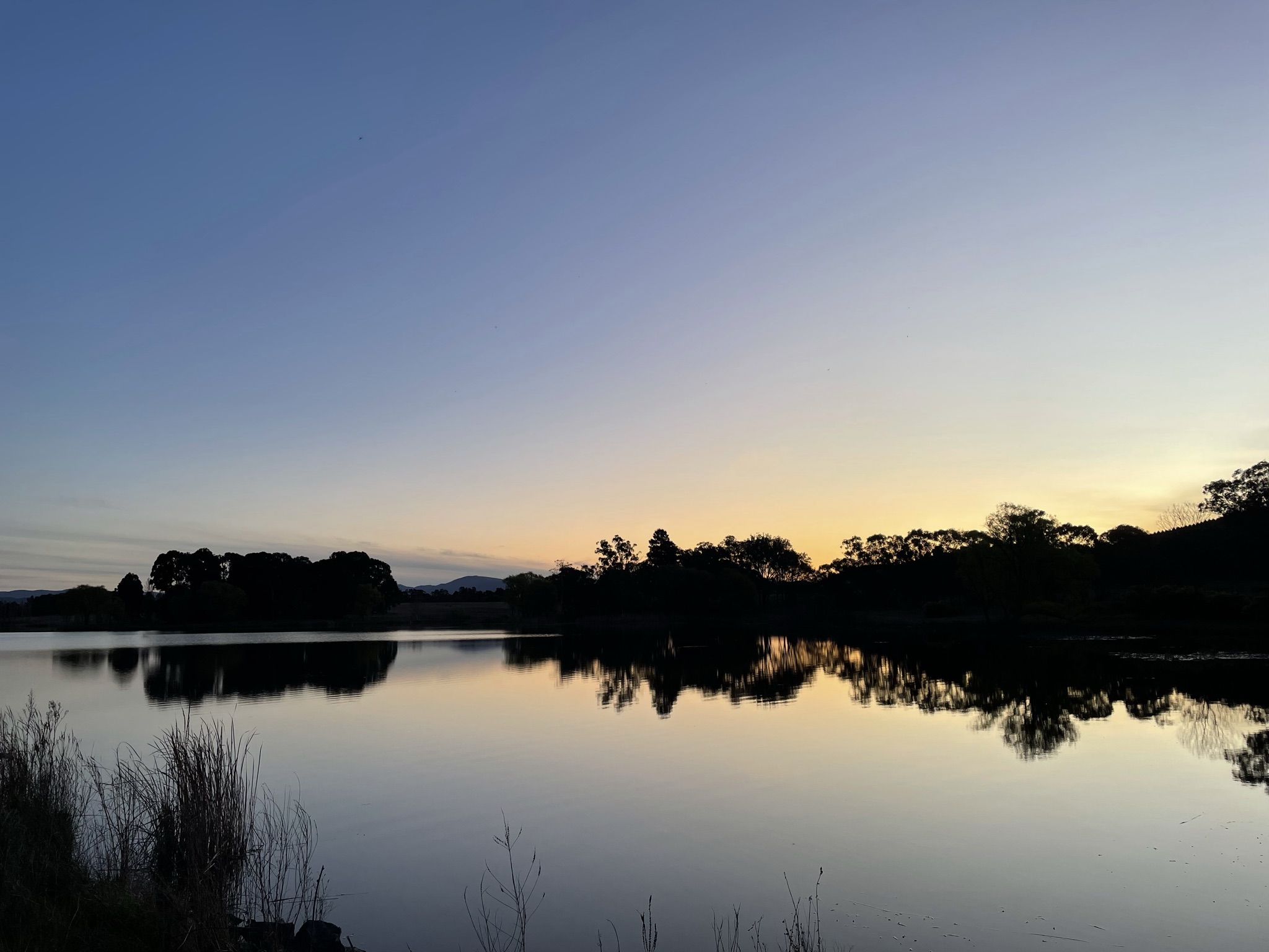 Songlines Suite at Eco Suites Canberra
