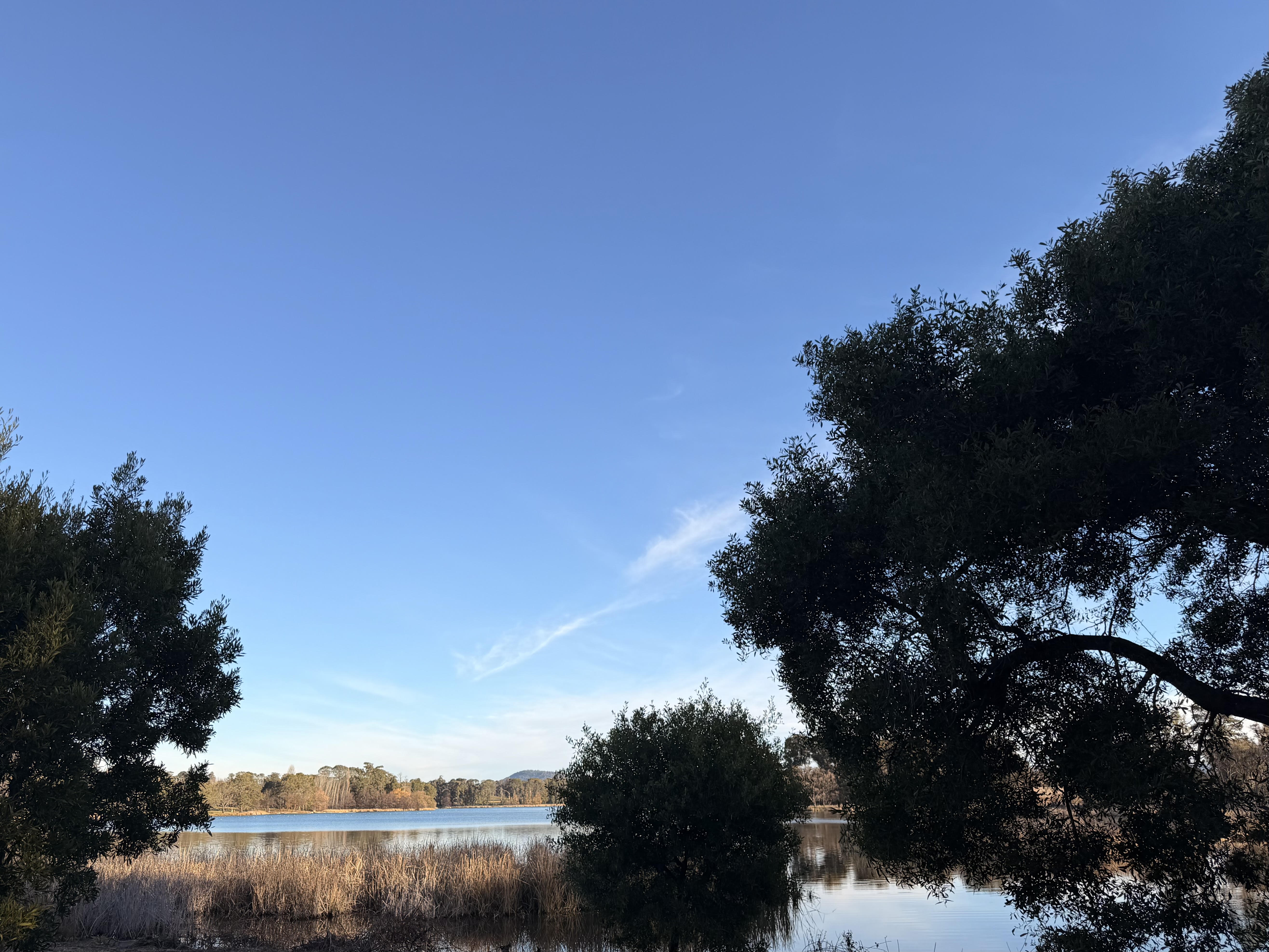 Ngura Suite views across Lake Burley Griffin