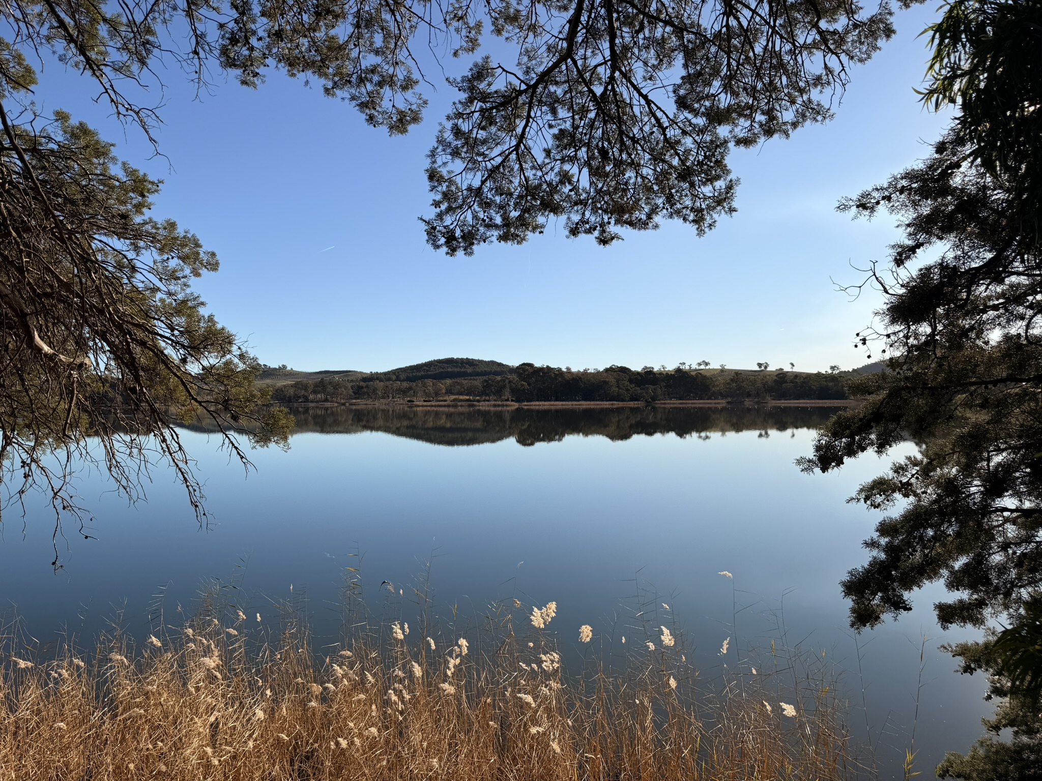 Songlines Suite views toward Weston and Lake Burley Griffin