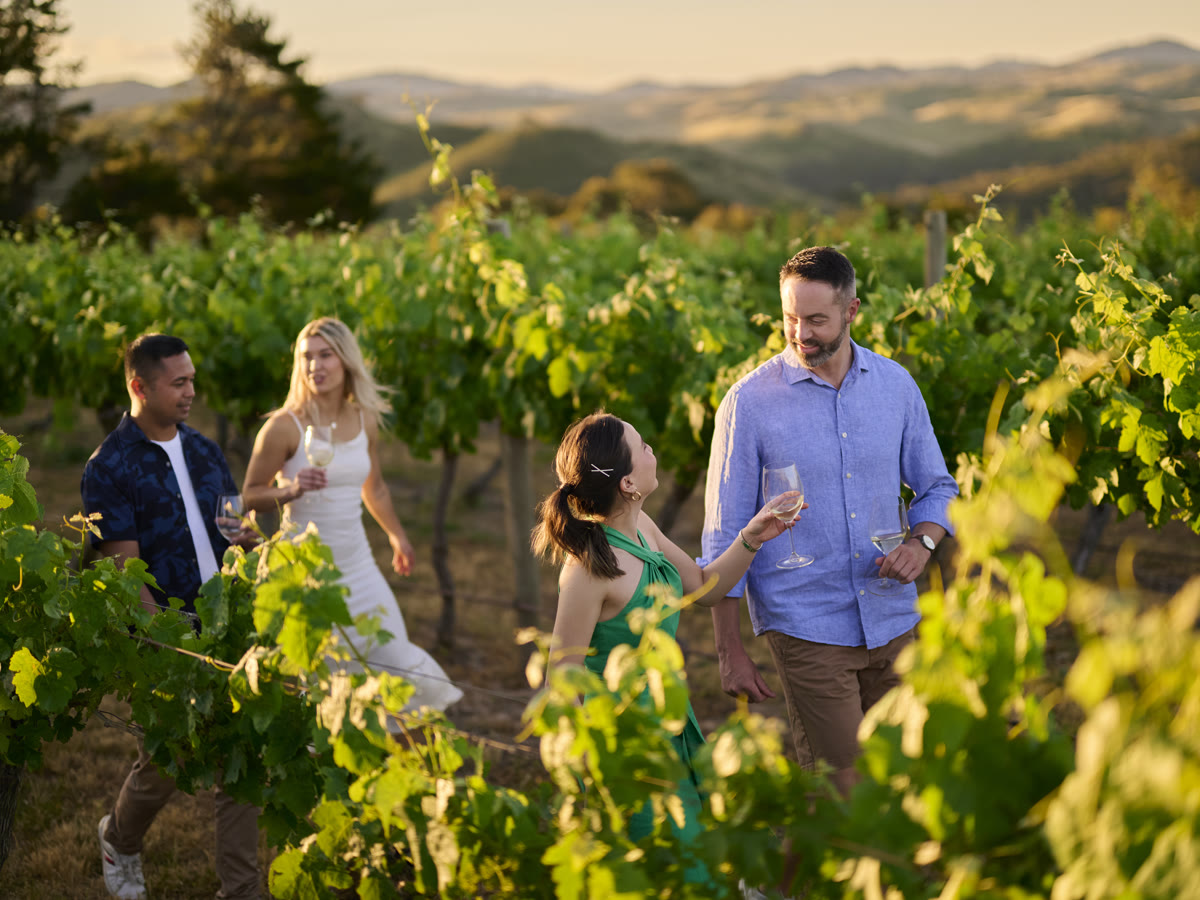 Premium dining and wine in Canberra